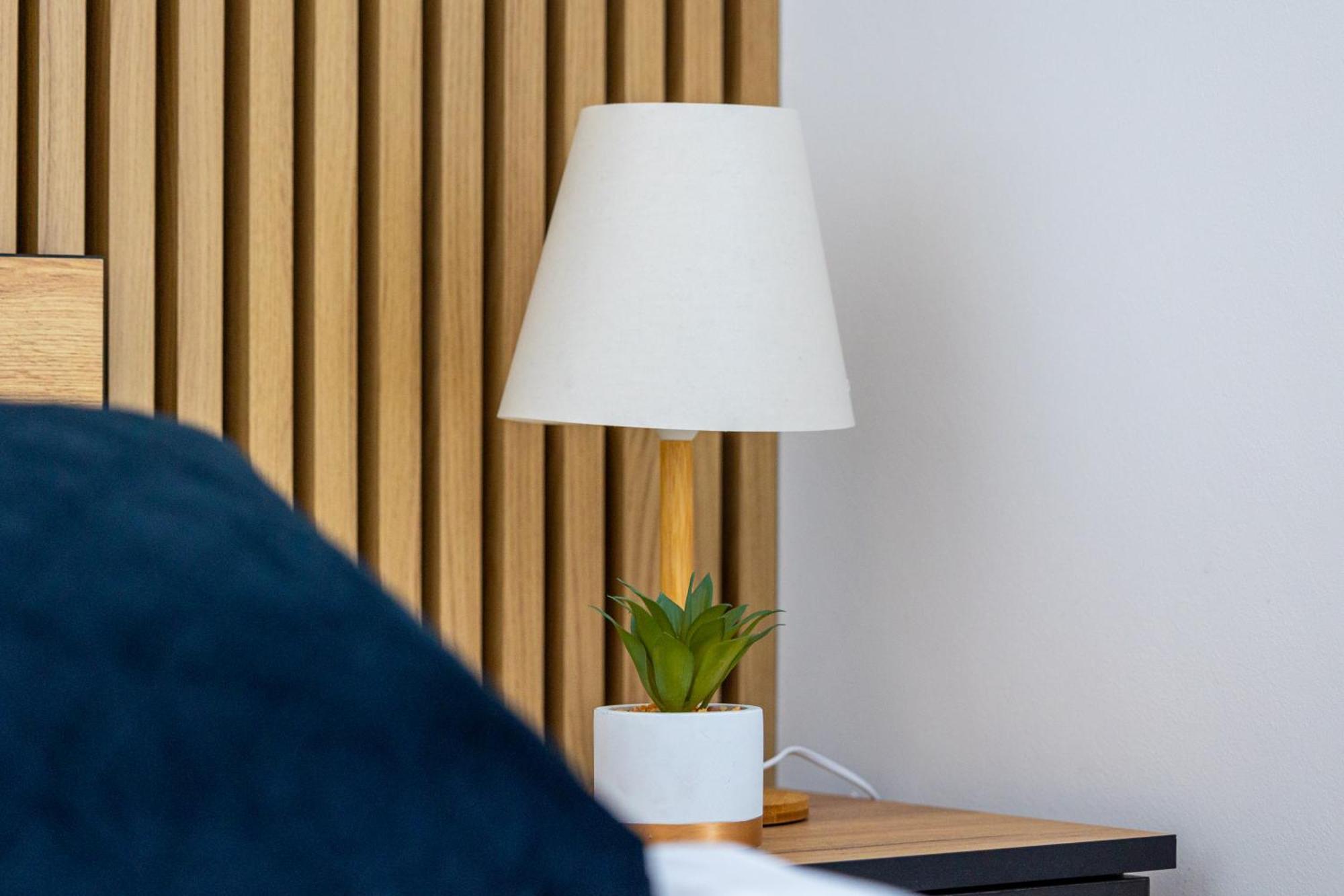 Apartment Vip Rzeszow